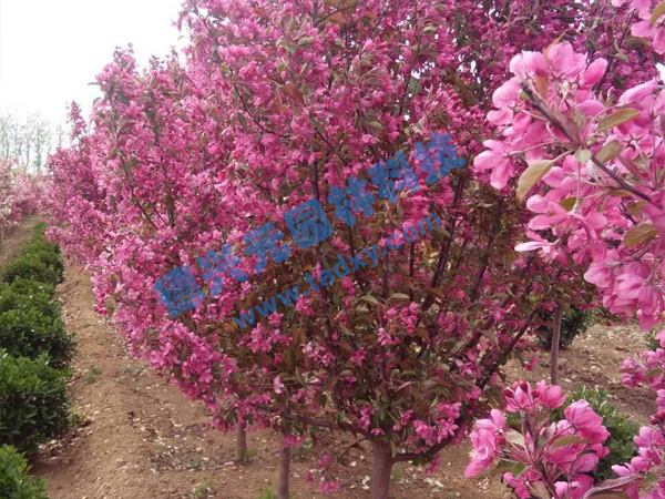�c���鿴Ԕ����Ϣ���}���k������ ��x�Δ���2350